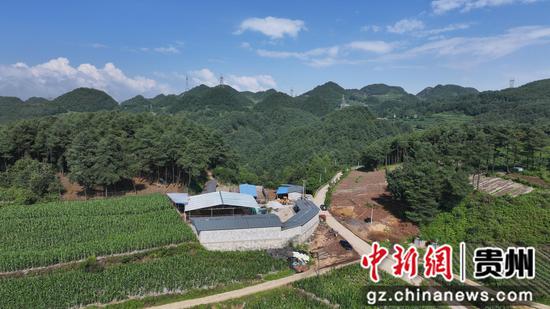 位于赫章县水塘堡乡的赫章黔源品梅花鹿养殖基地 。 鲁绍林 摄