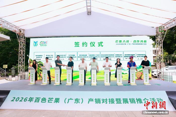 广西百色芒果对接湾区市场 达成15项产销合作签约