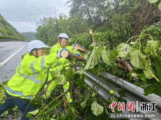 浙江交通集团高速公路台州管理中心应急抢险队处置倒伏树木。 浙江交通集团 供图 浙江交通集团高速公路台州管理中心应急抢险队处置倒伏树木。 浙江交通集团 供图