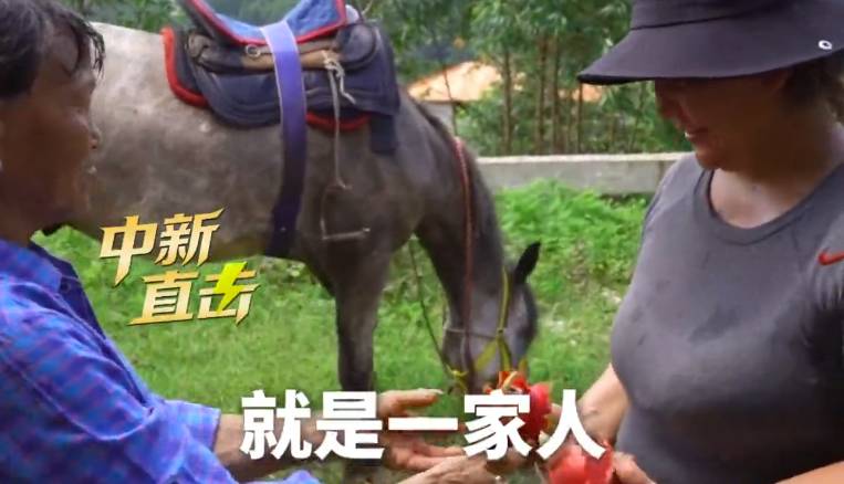 新疆夫妇牵马给横州乡亲运物资：大家都是一家人
