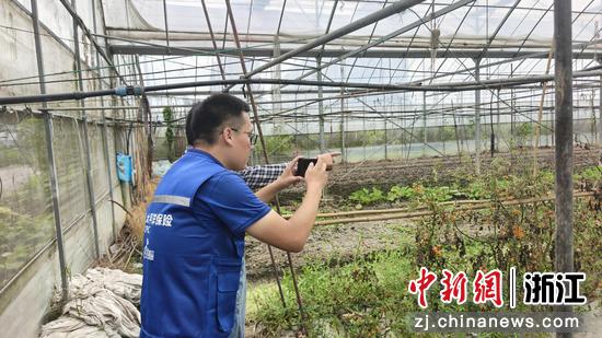 农险专员开展现场查勘。&nbsp;中国太保产险浙江分公司&nbsp;&nbsp;供图