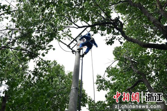7月12日,在宁波前湾新区陆中湾街道,电网工作人员对区域10千伏沧海B511线进行引流线搭接,确保周边用户用电正常。戚佳东 摄 7月12日,在宁波前湾新区陆中湾街道,电网工作人员对区域10千伏沧海B511线进行引流线搭接,确保周边用户用电正常。戚佳东 摄