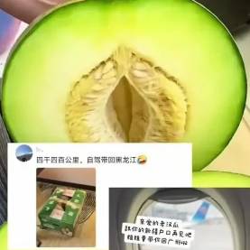 新疆的夏天，能被游客打包进箱子带走了