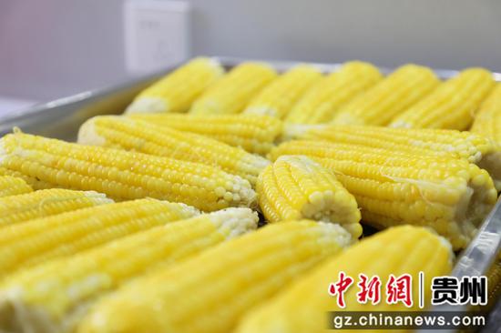 4新鲜出锅的玉米。高一涵摄 4新鲜出锅的玉米。高一涵摄