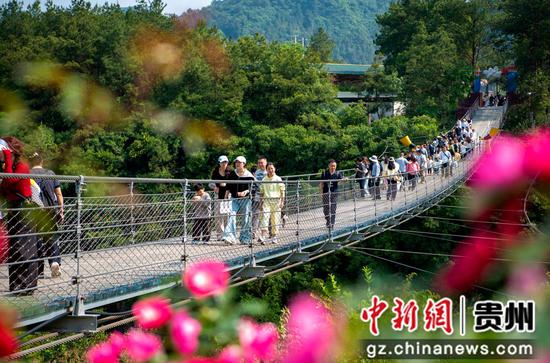游客在位于黔西市中建乡的羊驼小镇景区游玩。陈颖 摄