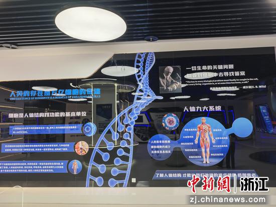干细胞科普展厅一景。傅飞扬&nbsp;摄