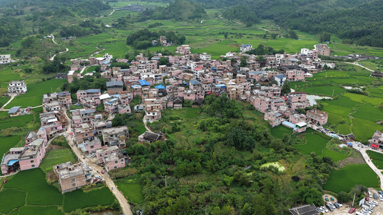 夏日乡村美丽图景