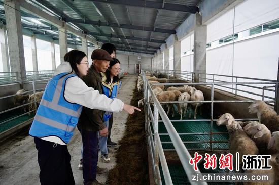 浙小匠青年设计师向村民了解湖羊养殖情况&nbsp;。&nbsp;陈诺&nbsp;摄