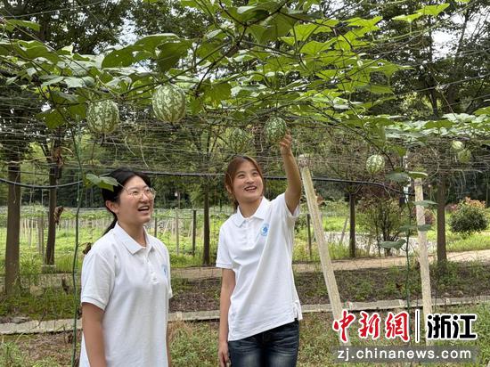 高校学子走进吊瓜基地。煤山镇供图