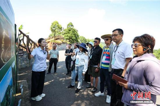 7月21日，海外华文媒体在晴隆县二十四道拐参观。 中新社记者 瞿宏伦 摄
