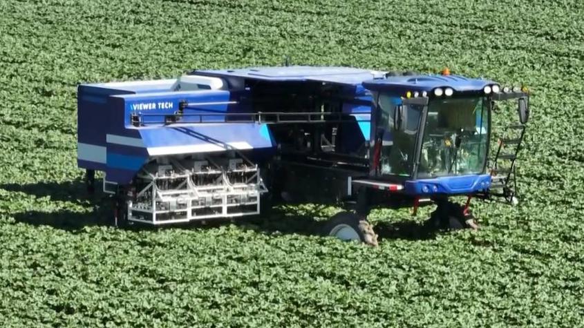 108-arm cotton-topping robot boosts efficiency in Xinjiang