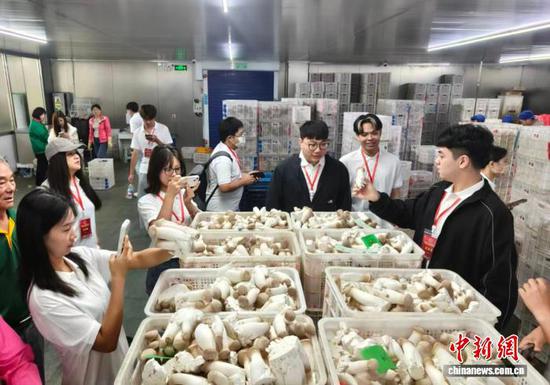 两岸青年一同走访台资企业，了解台企在津发展历程和优良营商环境。（天津市台联 供图）
