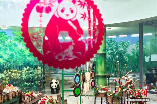 7月24日，天津，大熊猫“喜乐”在户外玩耍。当日，天津动物园大熊猫“喜乐”迎来13岁生日，园区为“喜乐”准备了生日庆典与丰容大餐，吸引众多游客和粉丝到场送祝福。雌性大熊猫“喜乐”2013年7月24日出生于中国保护大熊猫研究中心雅安基地，2015年10月13日来到天津，被粉丝们爱称“八里台二姑奶奶。中新社记者 佟郁 摄