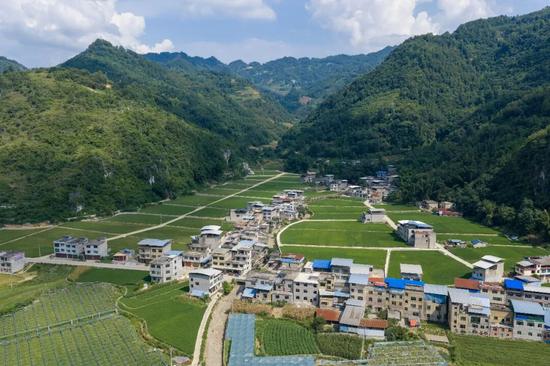 已建成投用的罗化村高标准农田