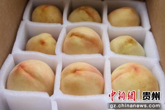 打包好的七月桃