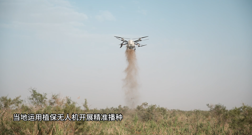 无人机精准播撒 为塔克拉玛干沙漠披新绿