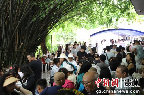 络绎不绝的游客有序前往购票排队。