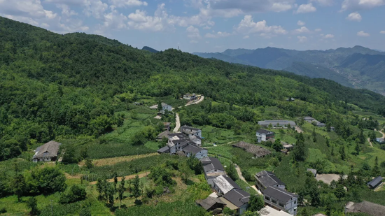 双龙村村委会附近部分农户发展的农家乐。税会静 摄 双龙村村委会附近部分农户发展的农家乐。税会静 摄