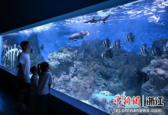 图为：市民带孩子观看鱼类。王刚 摄