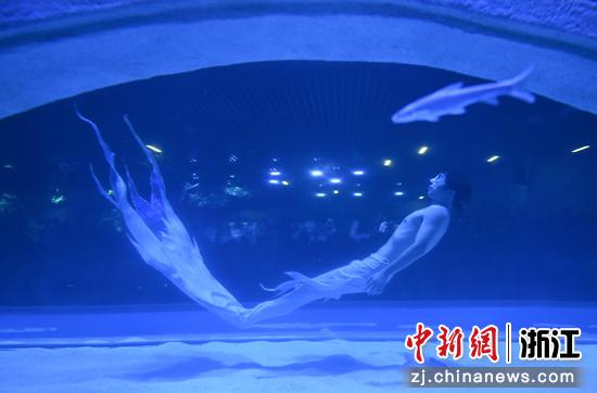 图为：“美人鱼”表演亮相水族公园。王刚 摄