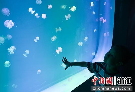图为：颇具梦幻感的水母吸引小朋友。王刚 摄