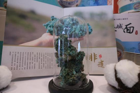 国家级非物质文化遗产碱蒿子烧制土碱技艺原料展示。胡杨网记者 李雨浪 摄