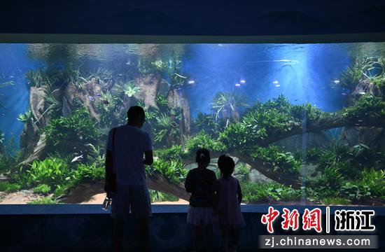 图为：市民带孩子观看水下空间。王刚 摄