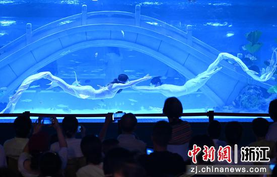 图为：市民观看“美人鱼”表演。王刚 摄