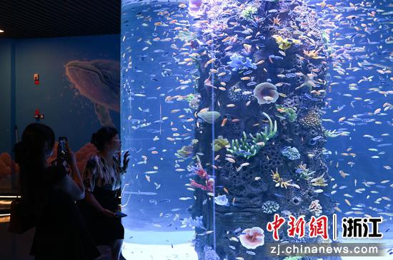 图为：市民在鱼群前拍照打卡。王刚 摄