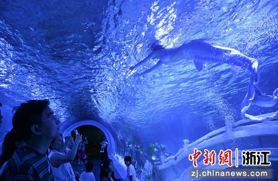 图为：市民观看“美人鱼”表演。王刚 摄
