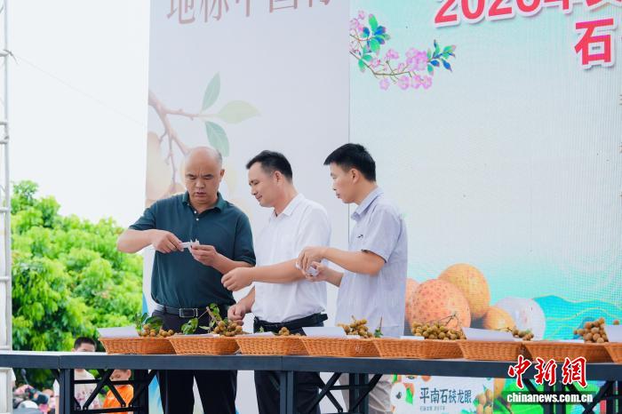 广西平南举办助农活动 以石硖龙眼造势拓销路