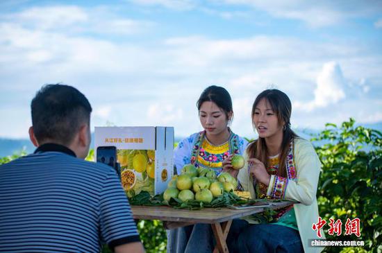 图为村民在从江县丙妹镇滚玉村百香果种植基地通过手机直播销售百香果。吴德军 摄