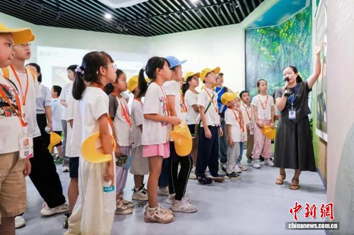 广西贺州鳄蜥研学基地掀起夏日生态科普热潮