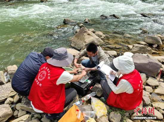 监测记录、鱼类样本测量现场。刘飞 摄