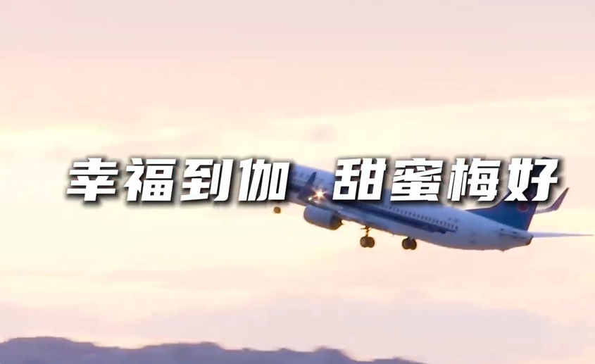 幸福到伽 甜蜜梅好