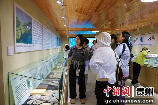 在剑河县八郎古生物化石陈列馆，亲子研学团正在观看化石相关知识展板。钟成炫 摄