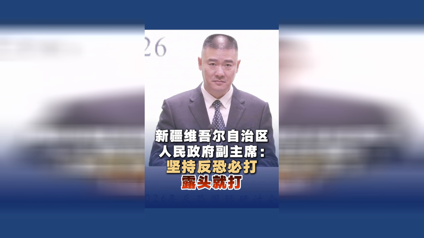 新疆维吾尔自治区人民政府副主席：坚持凡“恐”必打 露头就打