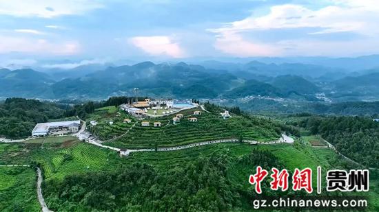 柏梓顶景区风光。王治文  摄