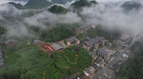 凤冈茶寿山国家森林康养基地 梁辉波/摄