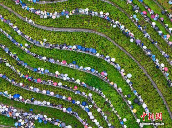 图为8月7日，贵州省毕节市大方县奢香古镇，民众在梯田里等待音乐会。罗大富 摄