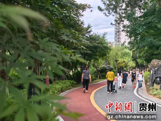 市民在楠竹林体育生态公园步道上散步、跑步。