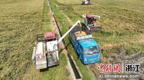 浙江农机系统守护粮安底线。金飞供图