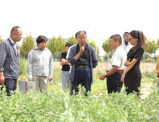 专家团在于田阗晟中药材科技有限公司中药材种植基地进行调研。 买合木提 摄