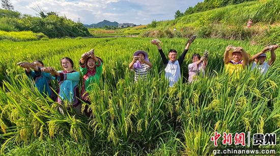 连心村迎来稻花鱼丰收季。