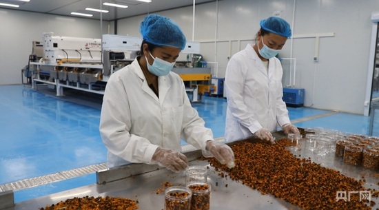 策勒县群众走进工厂就业，实现稳定增收 （央广网记者 丁安 摄）