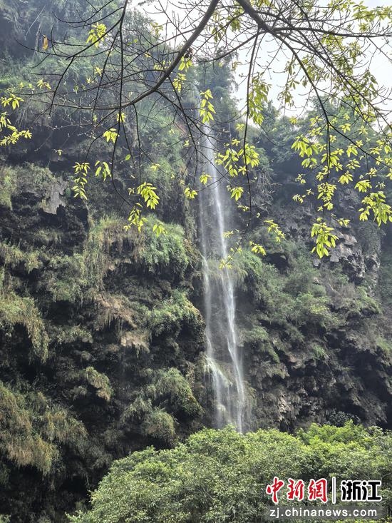 整座峡谷飞瀑叠翠、碧水潺潺 作者供图 整座峡谷飞瀑叠翠、碧水潺潺 作者供图