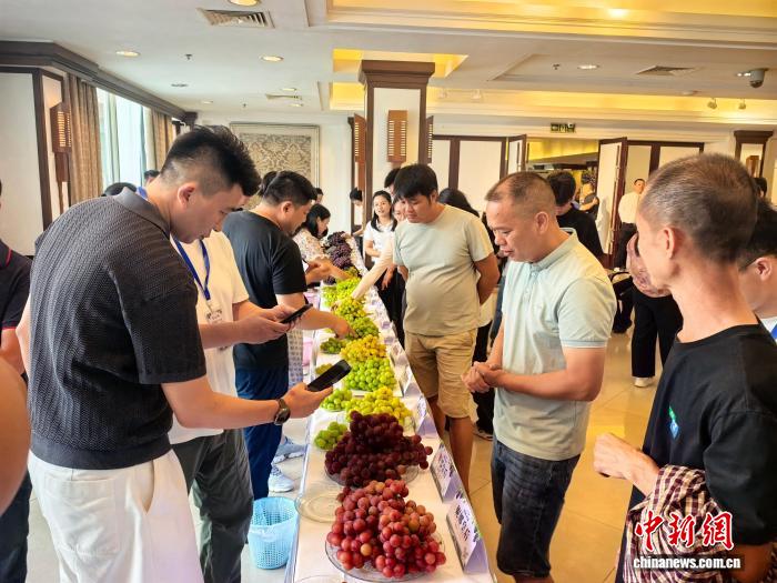 广西兴安葡萄产业推介会举行 双线联动拓展大湾区市场