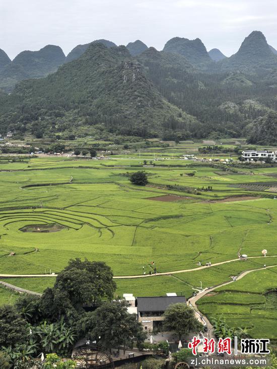 万千石峰拔地而起、林立簇聚 作者供图