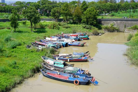 在七都街道在下段水闸，渔船整齐靠岸