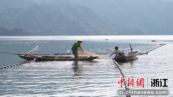 千峡湖捕鱼现场。 张俊英 供图 千峡湖捕鱼现场。 张俊英 供图